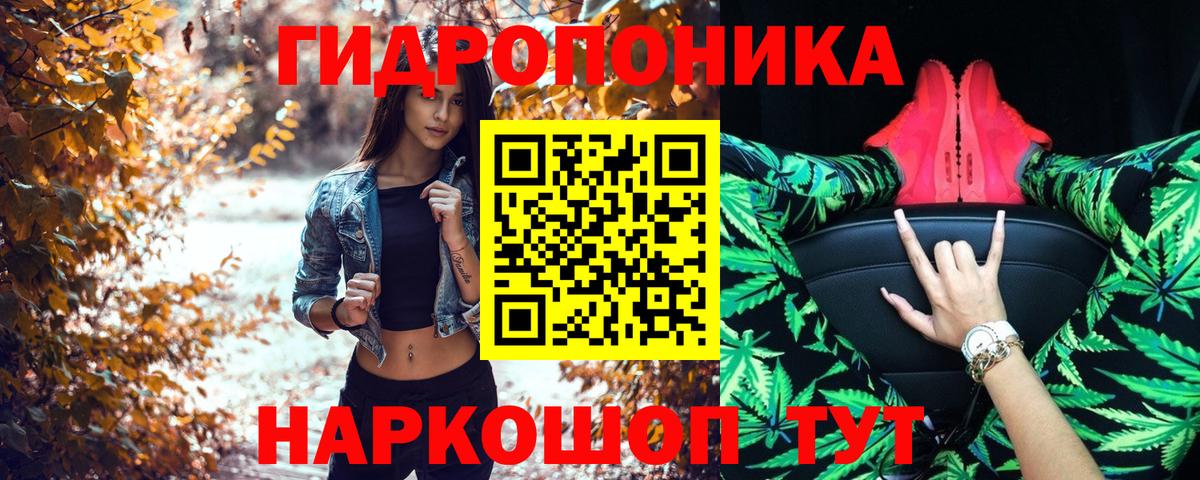 Шишки марихуана марихуана Невинномысск